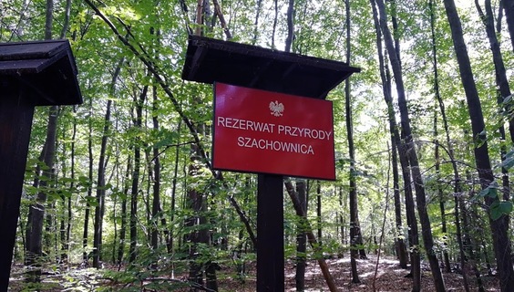 Rezerwat Przyrody Szachownica Rezerwat przyrody Szachownica | Jaskinie Wieś Wapiennik (gmina Lipie
