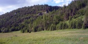 Boczań (1208 m n.p.m.) foto